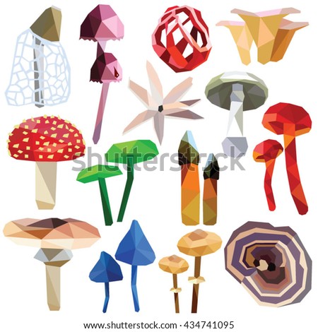 Mushroom set colorful low poly designs isolated on white background. Vector poisonous food illustration. Collection of fungus in a modern style.