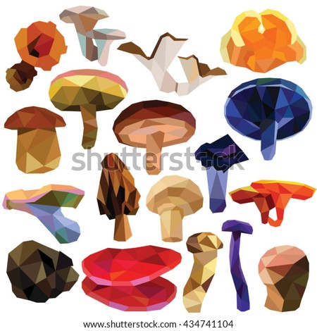 Mushroom set colorful low poly designs isolated on white background. Vector edible food illustration. Collection of fungus in a modern style.