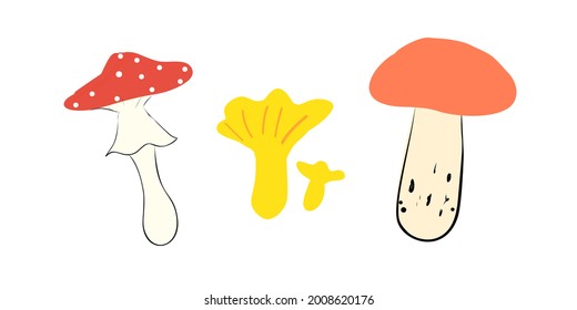 Mushroom set in doodle style. Fly agaric, chanterelle and boletus isolated on white background. Forest design elements.