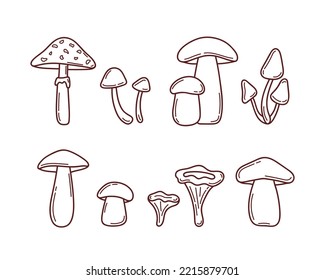 Mushroom set in doodle style. Porcini, boletus, chanterelle, honey fungus, fly agaric, toadstool. Sketch vector illustration. Isolated on white