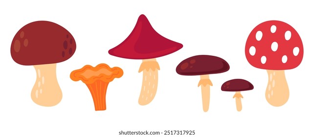 Mushroom set. Edible and poisonous mushrooms, chanterelles, porcini mushroom, fly agarics. Autumn cozy design elements. Flat Vector illustration isolated on white background 