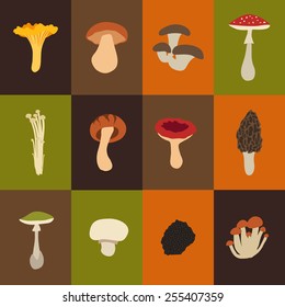 Mushroom set with flat design. Vector Illustration
