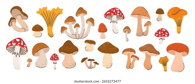 Mushroom set. Fly agaric, chanterelle, honey mushroom, porcini mushroom, brown birch bolete