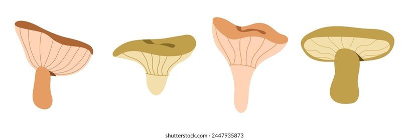 Mushroom set in hand drawing style. Forest Mushrooms,