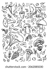 Mushroom set of hand drawn vector illustrations in black color isolated on white background. Cep, chanterelle, honey agaric, enoki, morel, oyster mushrooms, shimeji, champignon, shiitake.