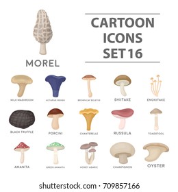 Mushroom set icons in cartoon style. Big collection of mushroom vector illustration symbol.