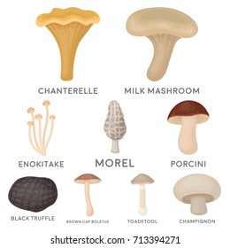 Mushroom set icons in cartoon style. Big collection of mushroom vector symbol stock illustration