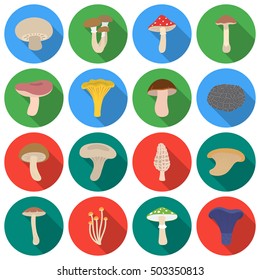 Mushroom set icons in flat style. Big collection mushroom vector symbol stock illustration