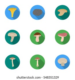 Mushroom set icons in flat style. Big collection of mushroom vector symbol stock illustration