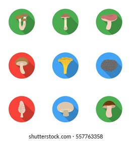 Mushroom set icons in flat style. Big collection of mushroom vector symbol stock illustration