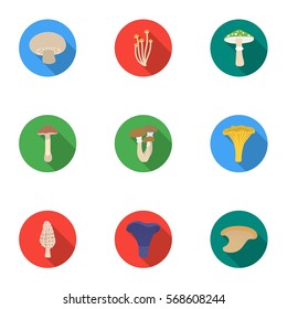 Mushroom set icons in flat style. Big collection of mushroom vector symbol stock illustration