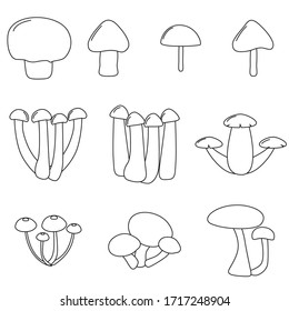 Mushroom set icons in outline style. Big collection of mushroom vector symbol stock illustration