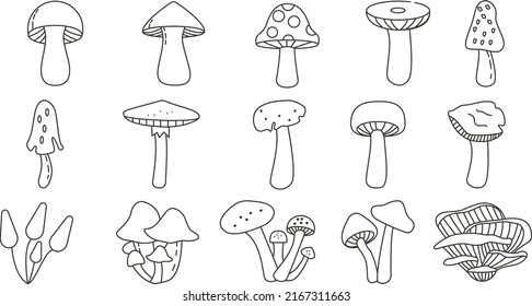 Mushroom Set Line Art Logo