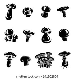 Mushroom set. Vector