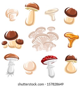 Mushroom set. Vector 