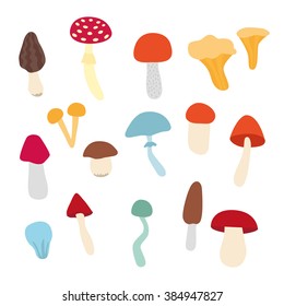 Mushroom set. Vector design template mushrooms icons. Mushrooms isolated template.