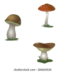 Mushroom set. Vector illustration