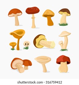 Mushroom set,  Vector illustration