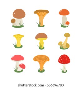 Mushroom set  vector illustration