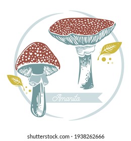 Mushroom set of vector illustrations with caption Amanita isolated on white. Mushrooms, graphic style.