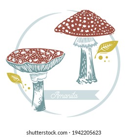 Mushroom set of vector illustrations with caption Amanita isolated on white. Mushrooms, graphic style.