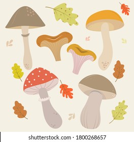 Mushroom set of vector illustrations in flat design isolated on white. Chanterelle, honey agaric, morel,  agaric, boletus, orange-cap boletus, porcini. Forest plants. Healthy food illustration.