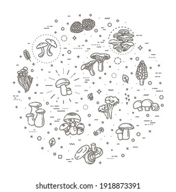 Mushroom set of vector illustrations in flat design