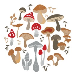 Mushroom Set Of Vector Illustrations Isolated On White. White Mushroom, Chanterelles, Honey Agarics, Mushrooms, Fly Agarics, Morels. A Set Of Ingredients For The Witch's Potion. Cartoon Style.