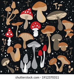 Mushroom set of vector illustrations isolated on black. White mushroom, chanterelles, honey agarics, champignons, fly agarics, morels. Set of ingredients for the witch's potion. Cartoon style.