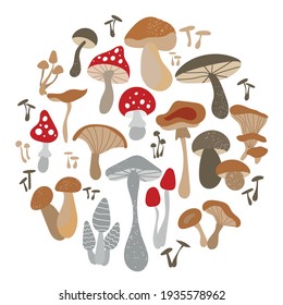 Mushroom set of vector illustrations isolated on white. White mushroom, chanterelles, honey agarics, mushrooms, fly agarics, morels. A set of ingredients for the witch's potion. Cartoon style.
