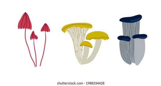 Mushroom set of vector illustrations isolated on white. A set of ingredients for the witch's potion. Cartoon style.
