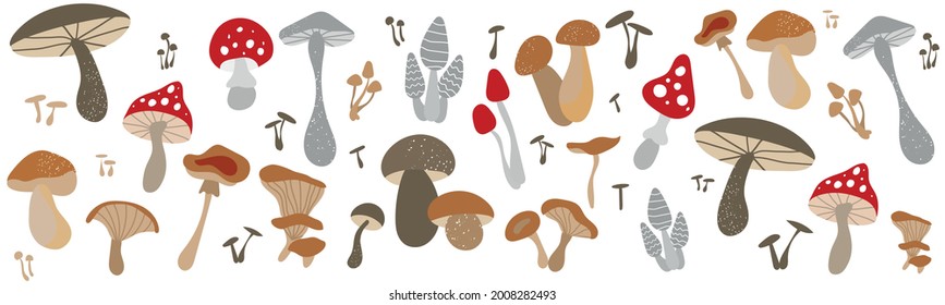 Mushroom set of vector illustrations isolated on black. White mushroom, chanterelles, honey agarics, champignons, fly agarics, morels. Set of ingredients for the witch's potion. Cartoon style.