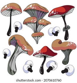 Mushroom set of vector illustrations isolated on black. Porcini mushrooms, chanterelles, champignons, fly agarics. A set of ingredients for a witch's potion. Cartoon style. Design for textiles.