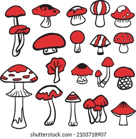 Mushroom set of vector illustrations isolated on white. White mushroom, chanterelles, honey agarics, mushrooms, fly agarics, morels. A set of ingredients for the witch's potion. Cartoon style.