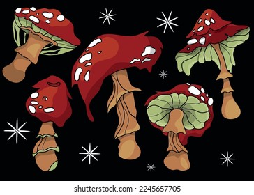 Mushroom set of vector illustrations isolated on black. White mushroom, chanterelles, honey agarics, champignons, fly agarics, morels. Set of ingredients for the witch's potion. Cartoon style.