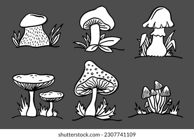 Mushroom set of vector illustrations isolated on grey. Cartoon style.
