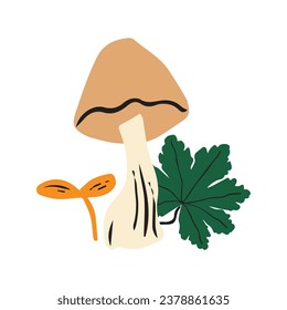 Mushroom set vector illustrations