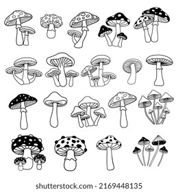 Mushroom set,Mushrooms doodle,Mushroom hand draw,Mushrooms vector