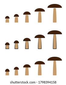 Mushroom shape icon vector collection. Growing champignon silhouette set. Mushrooms grow. Flat shape toadstool icon symbol. Different size pattern. Logo sign. Isolated on white background.