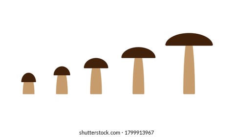 Mushroom shape icon vector collection. Growing champignon silhouette set. Mushrooms grow. Flat shape toadstool icon symbol. Different size boletus pattern logo sign. Isolated on white background.