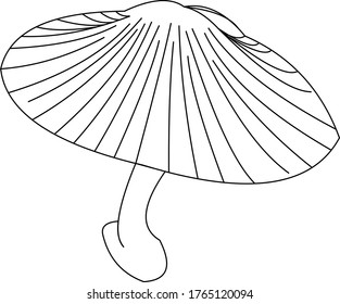 mushroom shaped vector or logo with black lines. Creative design
