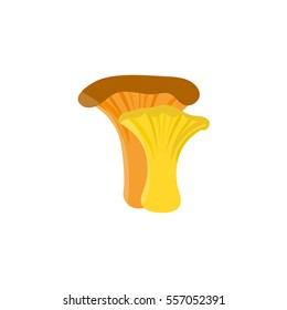 Mushroom sharp agaric and chanterelle vector illustration. Flat design.