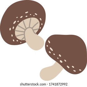 mushroom shiitake  vegetable illustration organic 