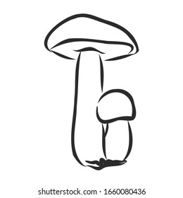 mushroom sign, vector sketch illustration 
