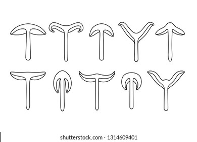 Mushroom Silhouettes Set. Black Line Drawing Vector. Sliced Toadstool