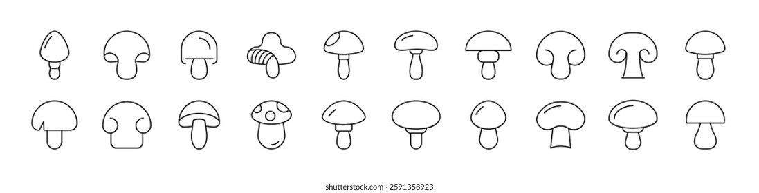 Mushroom Simple Isolated Line Icons Collection. Editable Stroke. Suitable for Web Sites, Books, Cards, Apps