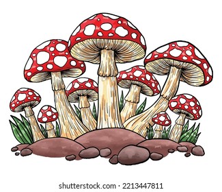 Mushroom sketch. Colored hand drawn mushroom and bush illustration