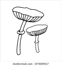 Mushroom sketch  in doodle style. Botanical design vector illustration