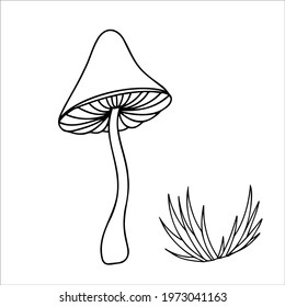Mushroom sketch  in doodle style. Death cap botanical design vector illustration