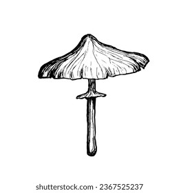 Mushroom sketch isolated. Hand-drawn food items. Outline scribble of wild mushroom. Vector illustration.